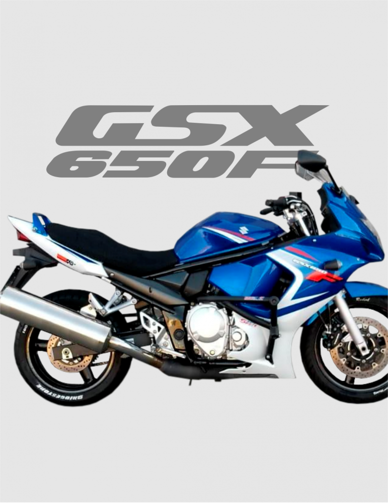 Stunt Cage GSX 650F SUZUKI